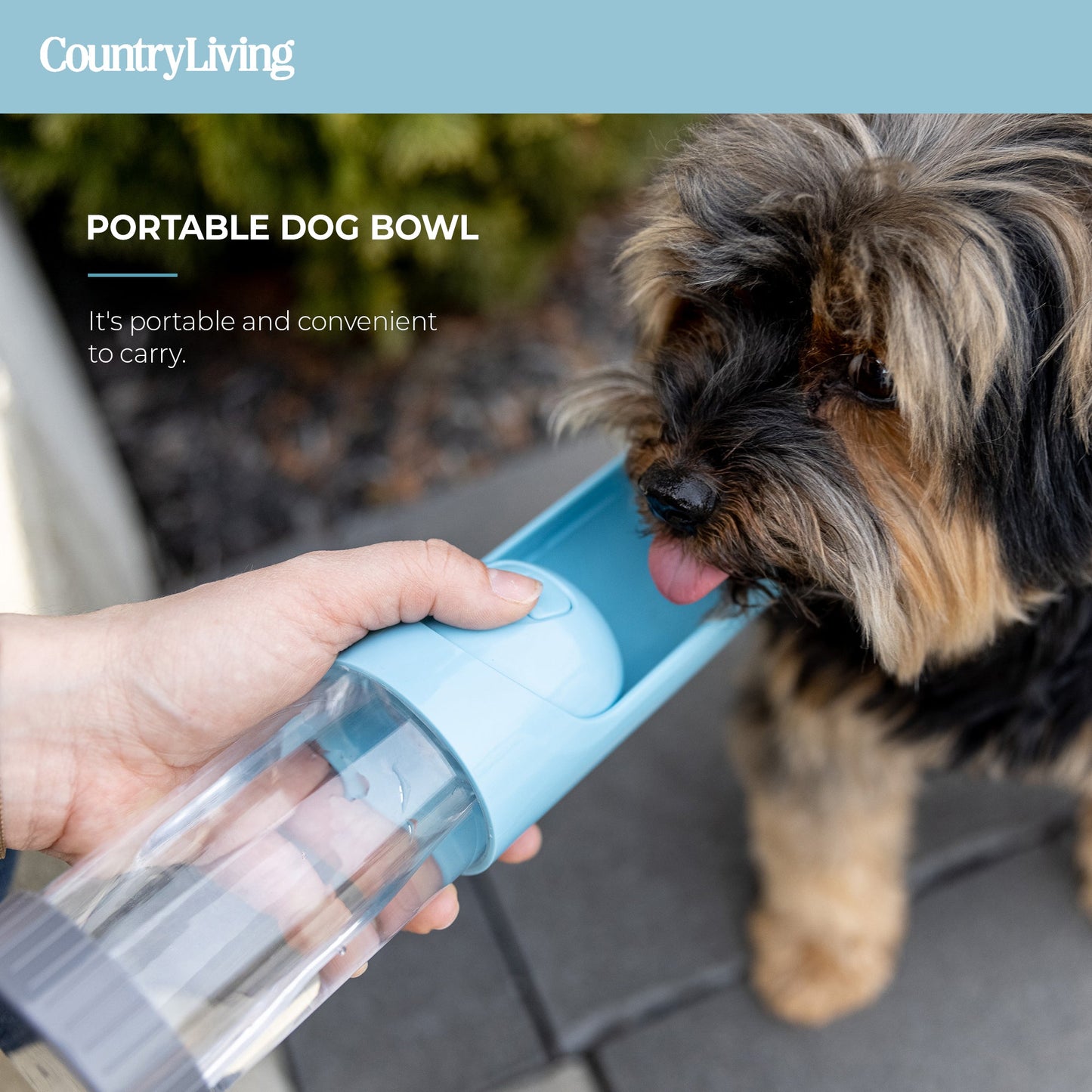 Portable Dog Water Bottle- with Charcoal Filter